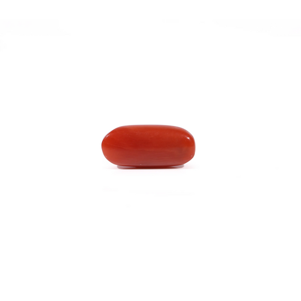 Red Coral - 2.4 Carat