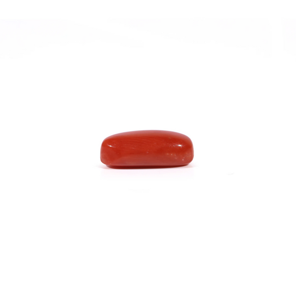 Red Coral - 2.4 Carat