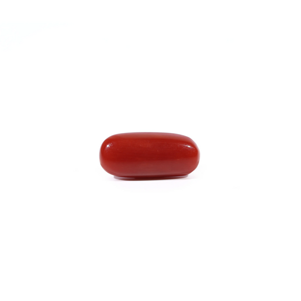 Red Coral - 2.55 Carat