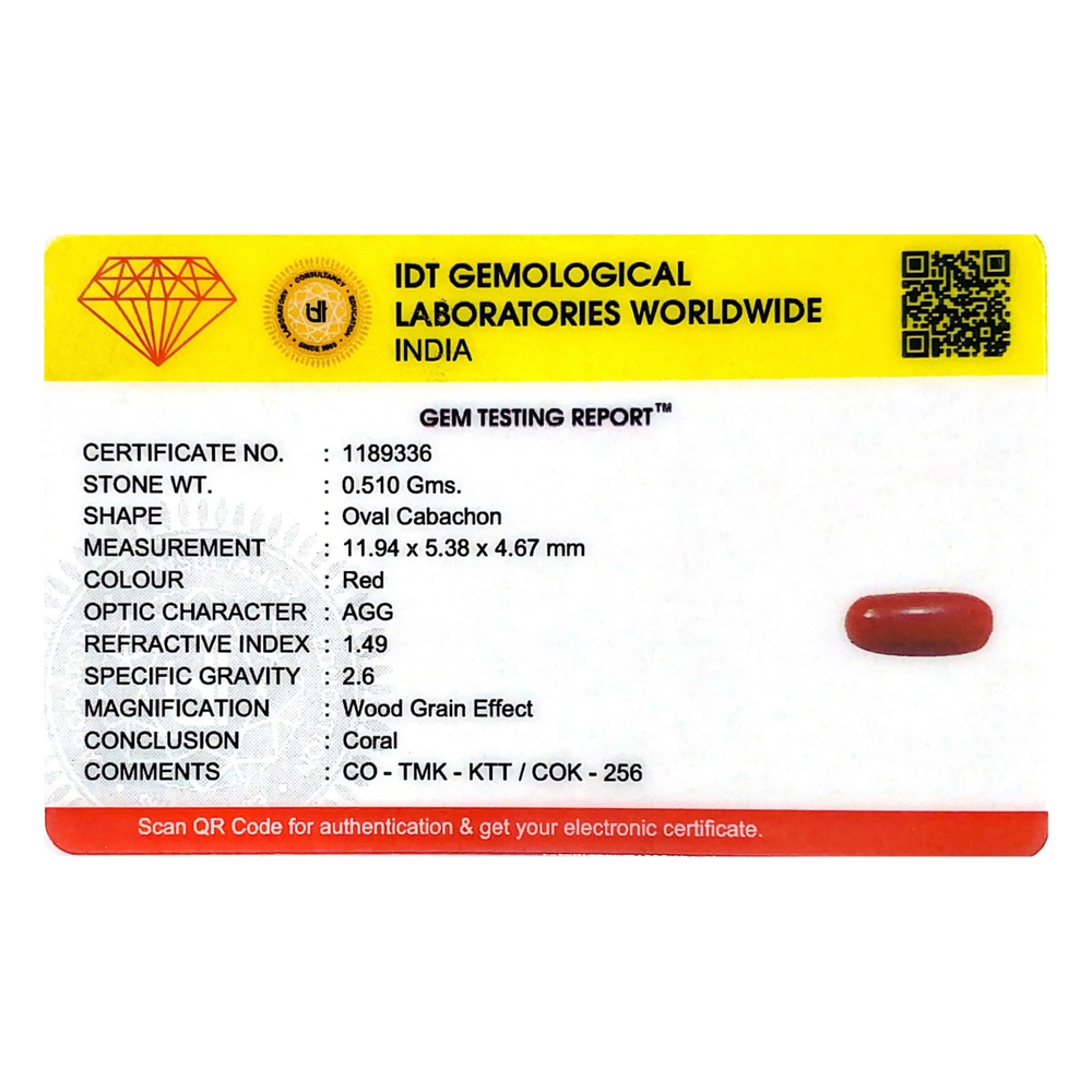 Red Coral - 2.55 Carat