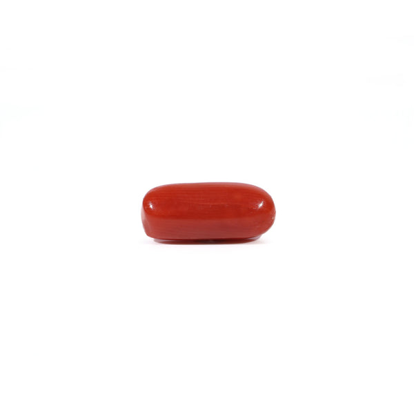 Red Coral - Moonga - 2.55 Carat - Pramogh
