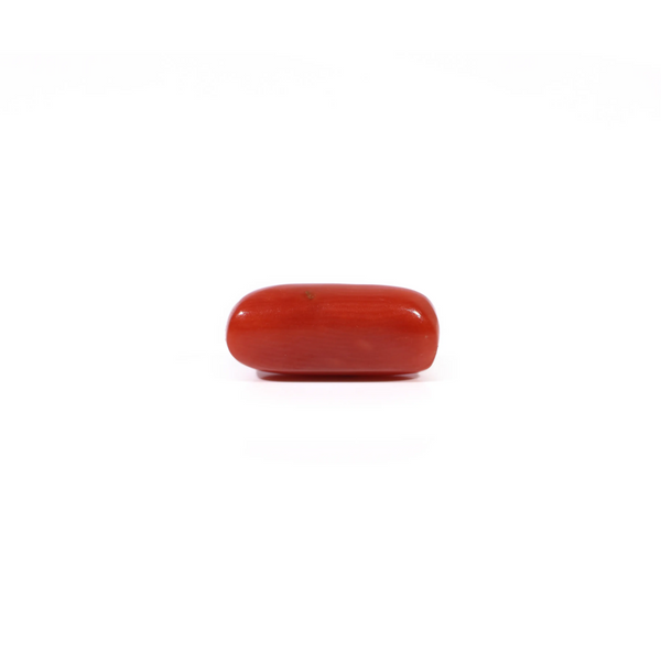 Red Coral - 2.55 Carat