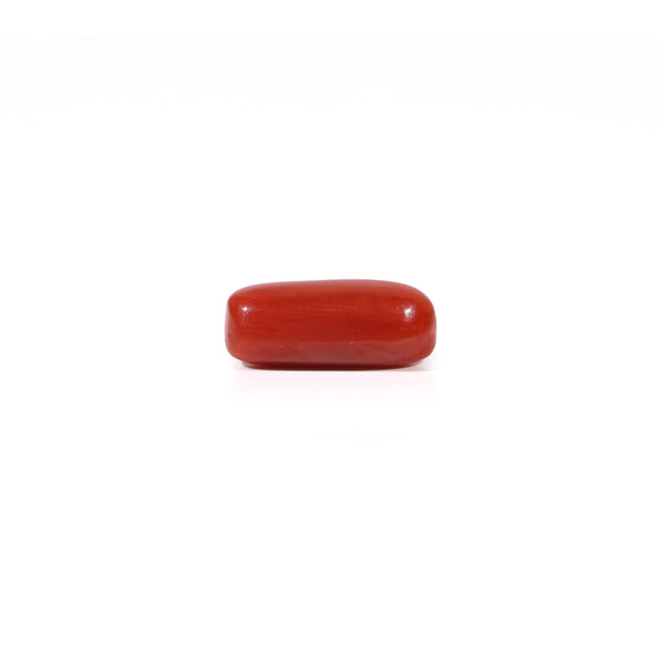 Red Coral - 2.55 Carat