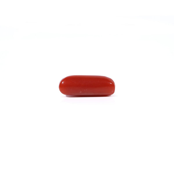Red Coral - 2.4 Carat