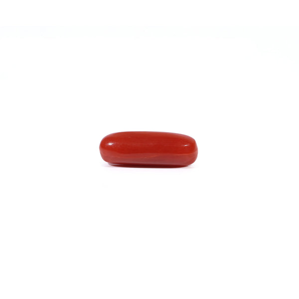 Red Coral - 2.4 Carat