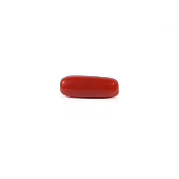 Red Coral - Moonga - 2.8 Carat - Pramogh