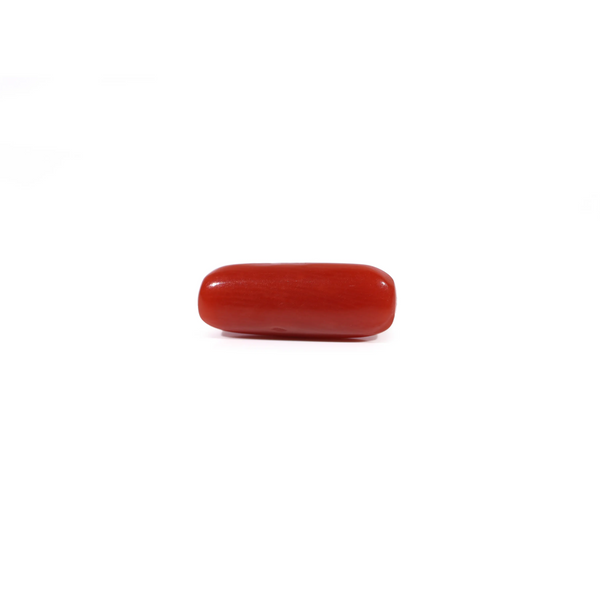 Red Coral - 2.8 Carat