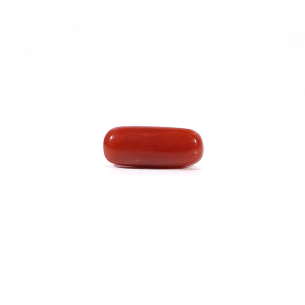 Red Coral - Moonga - 2.6 Carat - Pramogh