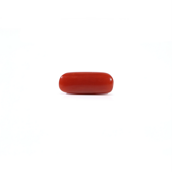 Red Coral - 2.6 Carat