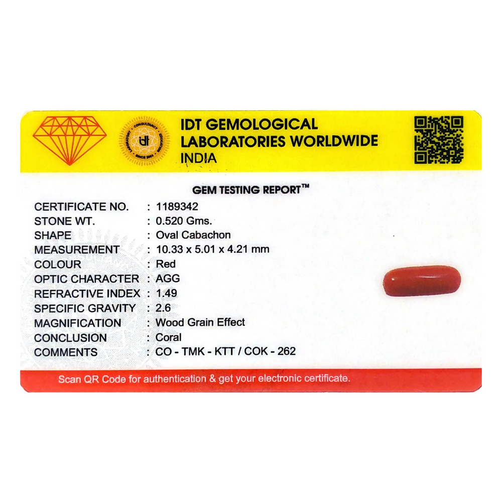 Red Coral - 2.6 Carat