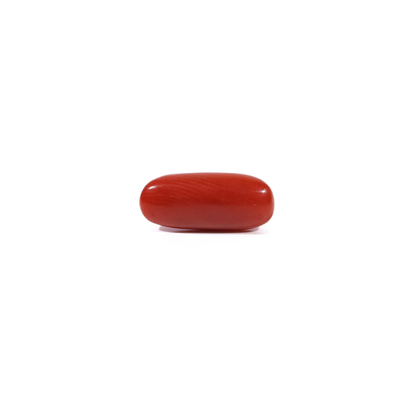 Red Coral - Moonga - 2.4 Carat - Pramogh