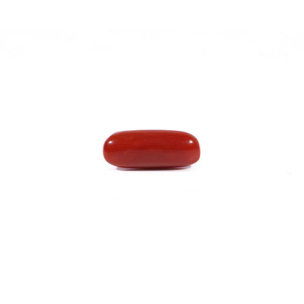 Red Coral - 2.68 Carat