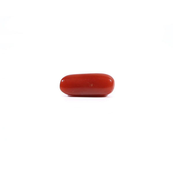 Red Coral - 2.62 Carat