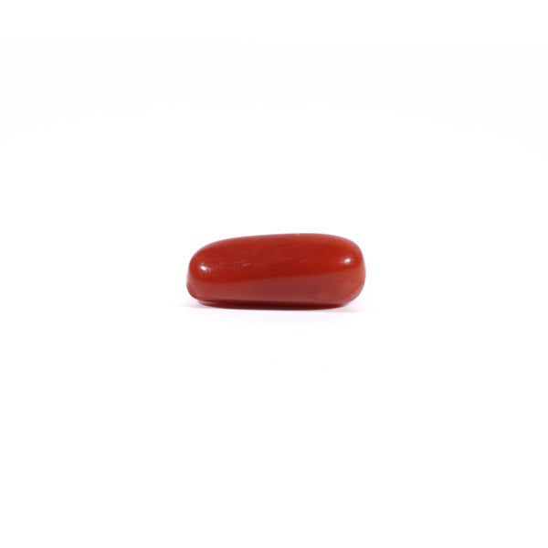 Red Coral - 2.62 Carat