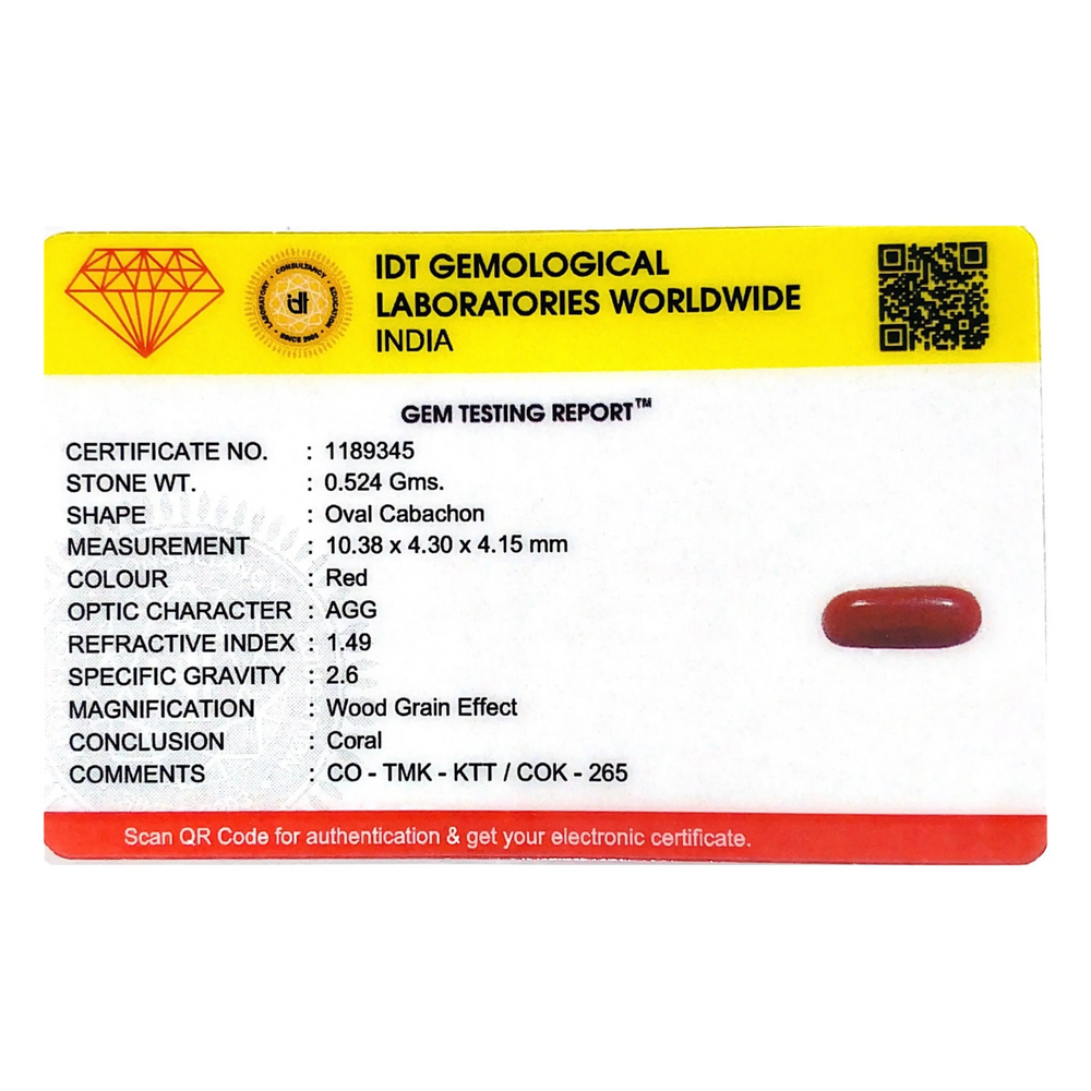 Red Coral - 2.62 Carat