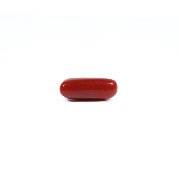 Red Coral - Moonga - 2.5 Carat - Pramogh