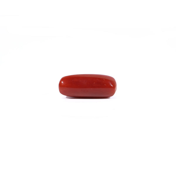 Red Coral - 2.5 Carat