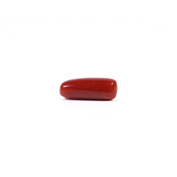 Red Coral - 2.5 Carat