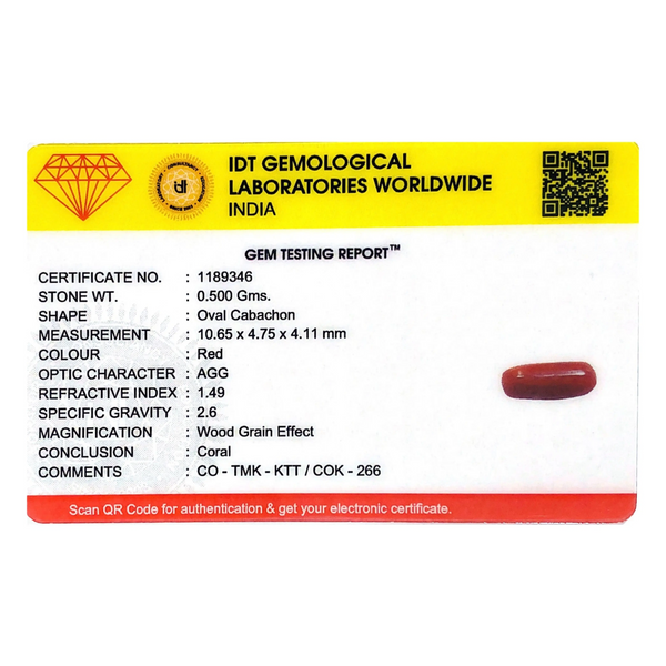 Red Coral - 2.5 Carat