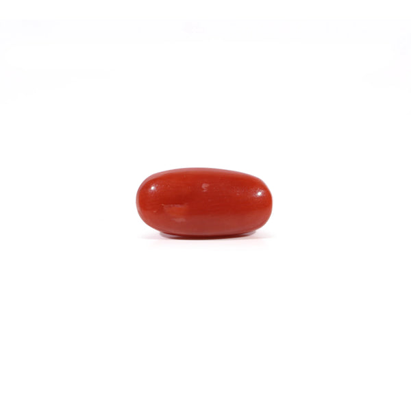 Red Coral - Moonga - 2.4 Carat - Pramogh