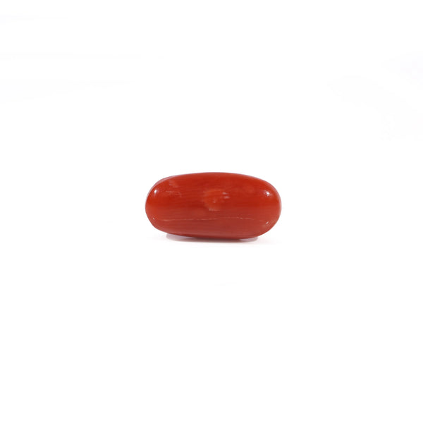 Red Coral - 2.4 Carat