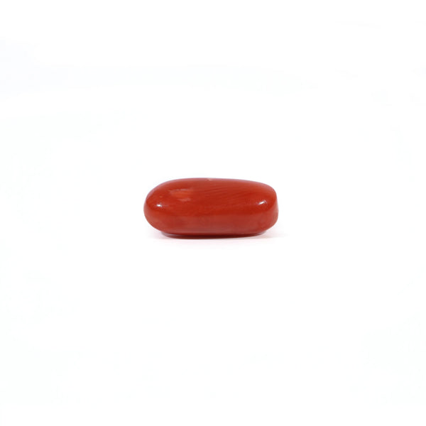 Red Coral - 2.4 Carat