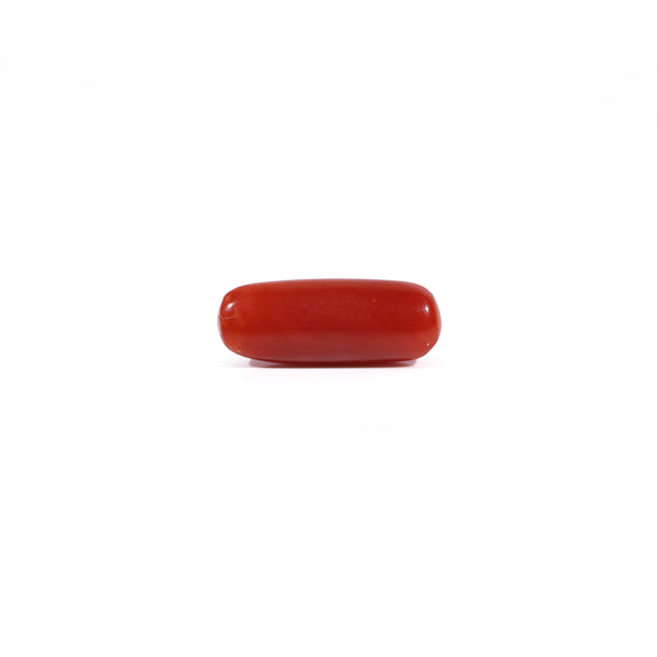 Red Coral - 2.42 Carat