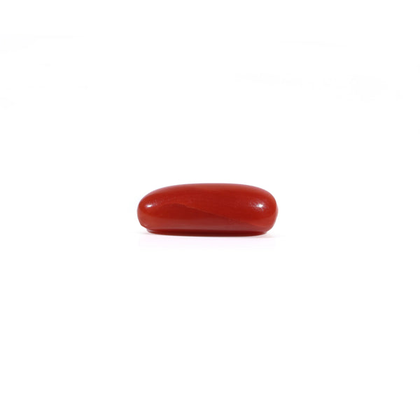 Red Coral - 2.42 Carat