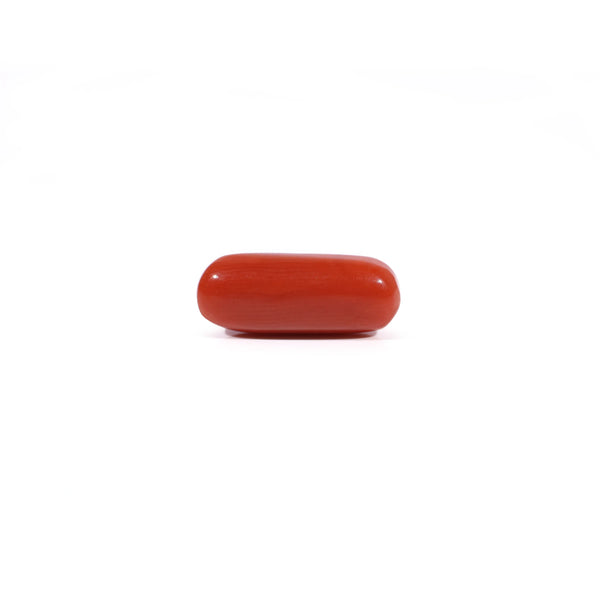 Red Coral - 2.65 Carat