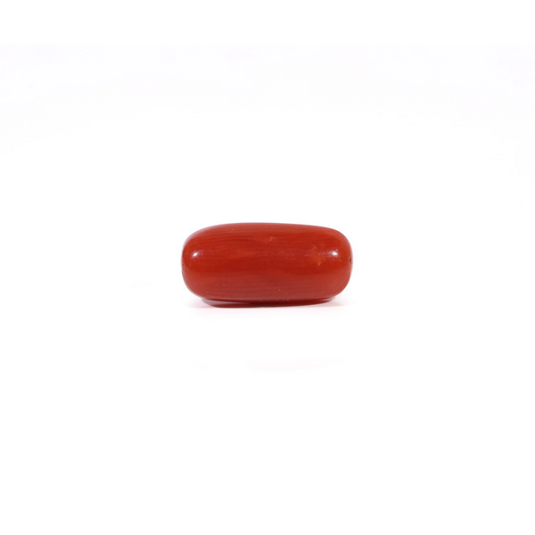 Red Coral - Moonga - 2.55 Carat - Pramogh