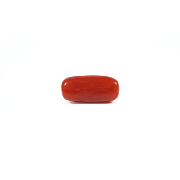 Red Coral - 2.55 Carat