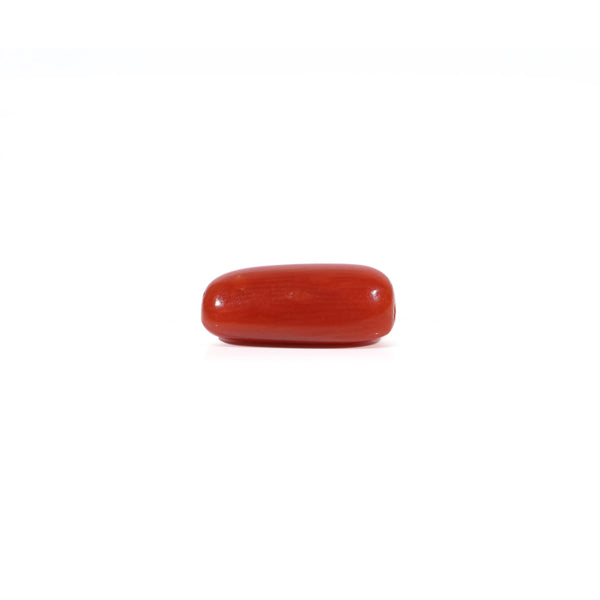 Red Coral - 2.55 Carat