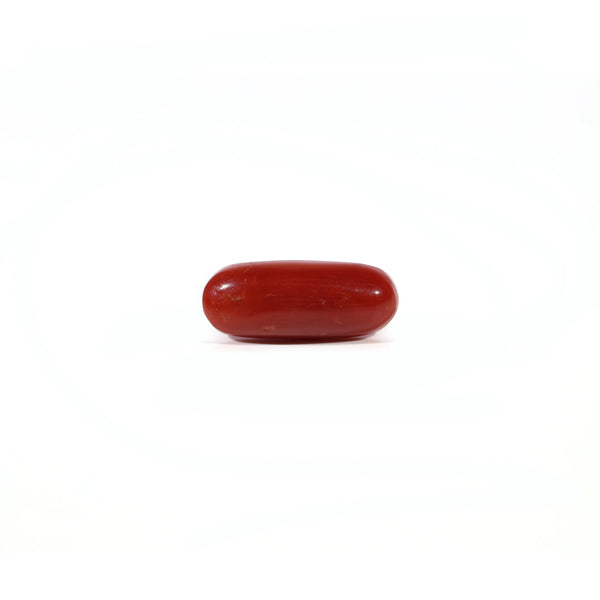 Red Coral - Moonga - 3.05 Carat - Pramogh