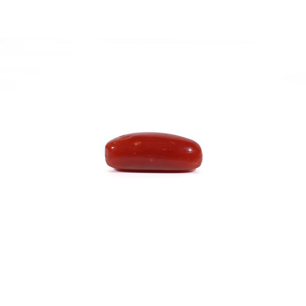 Red Coral - 3.05 Carat