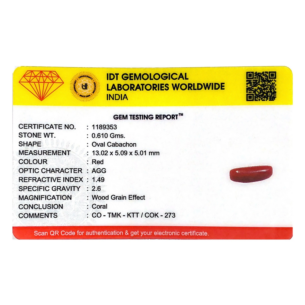 Red Coral - 3.05 Carat
