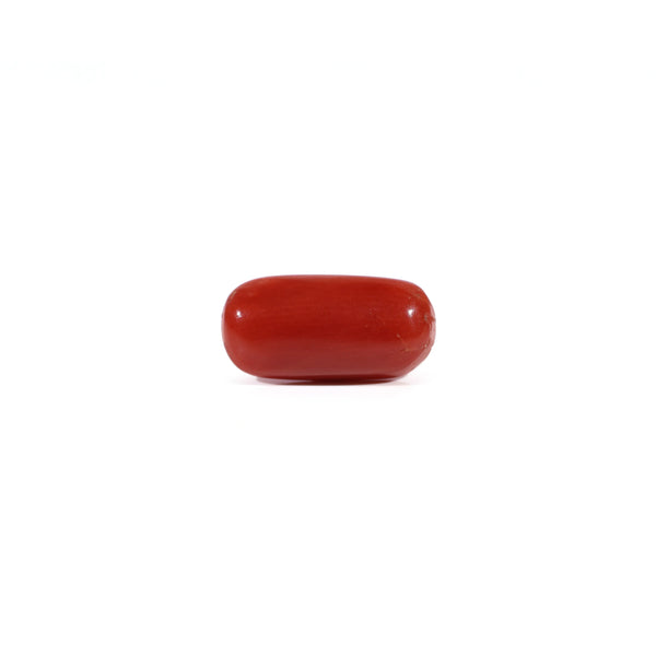Red Coral - Moonga - 2.53 Carat - Pramogh