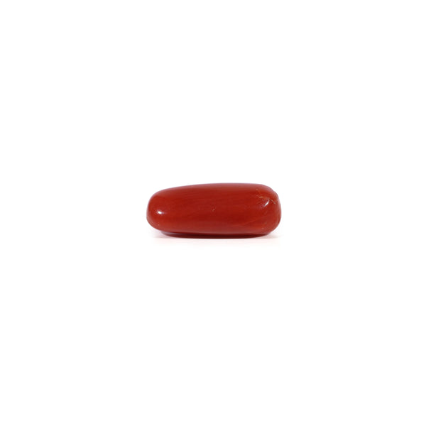 Red Coral - 2.53 Carat