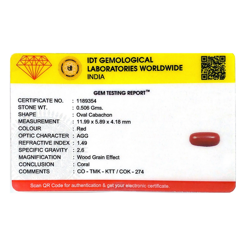 Red Coral - 2.53 Carat