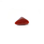 Red Coral - 6 Carat