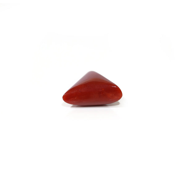 Red Coral - 6 Carat