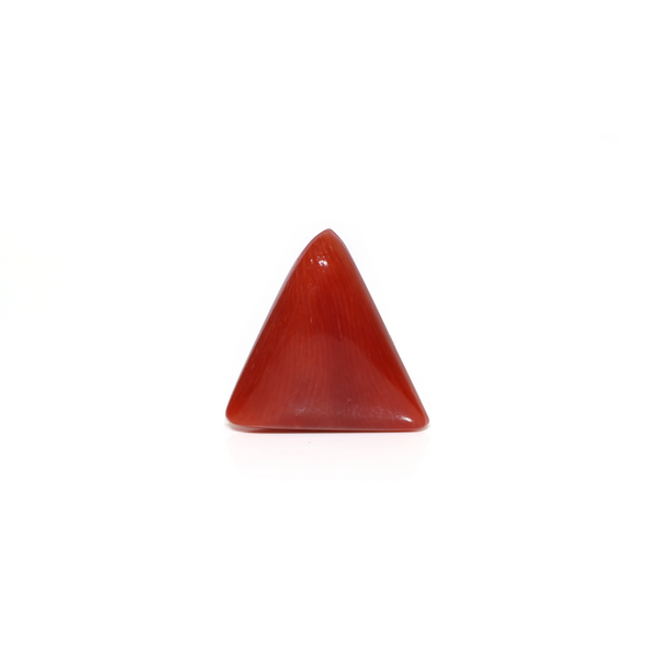 Red Coral - 6.2 Carat