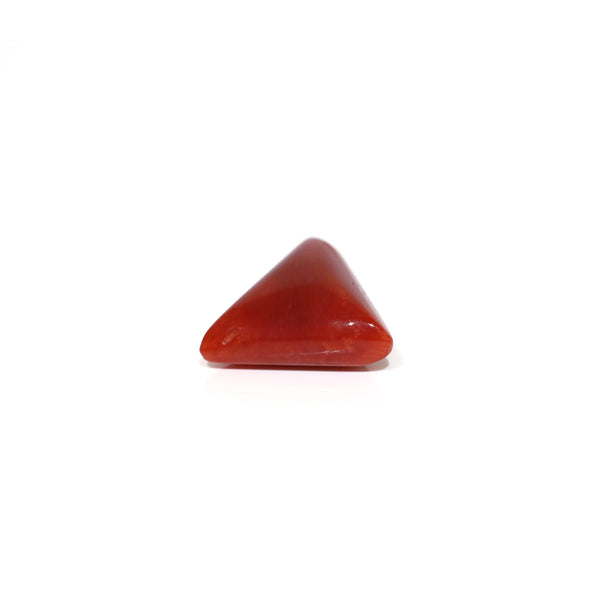 Red Coral - 6.2 Carat