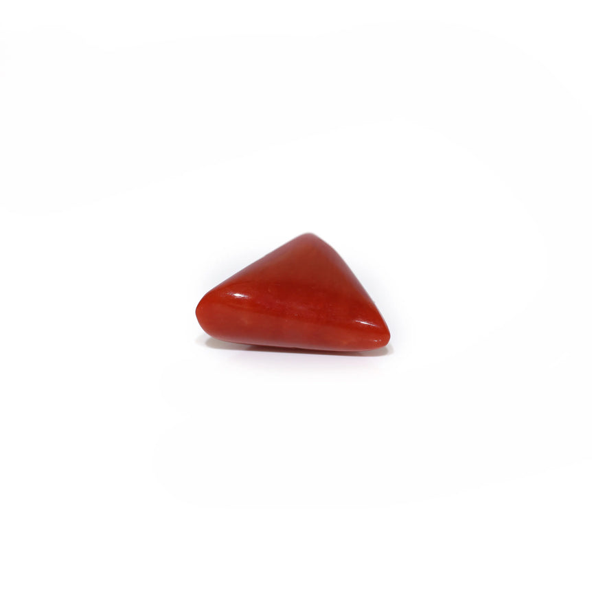 Red Coral - 5.15 Carat