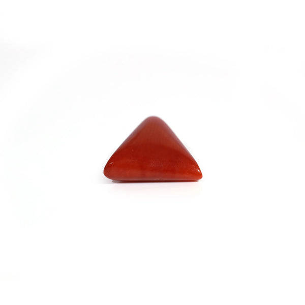 Red Coral - 5.5 Carat