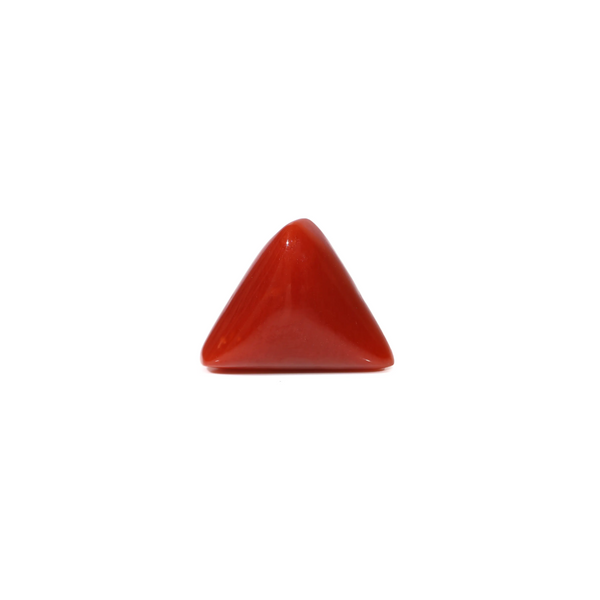 Red Coral - 5.55 Carat