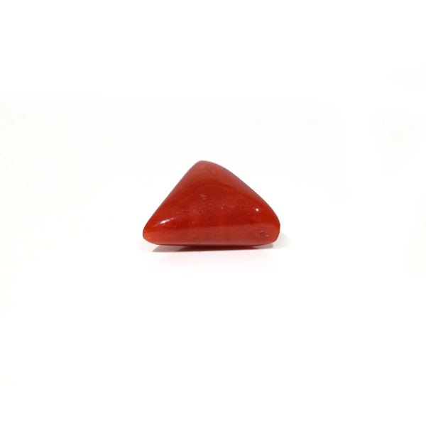 Red Coral - 5.55 Carat