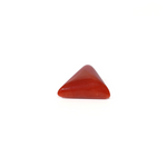 Red Coral - 5.45 Carat