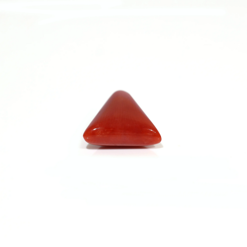 Red Coral - 5.8 Carat