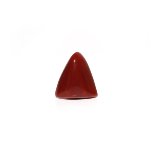 Red Coral - Moonga - 5.7 Carat - Pramogh