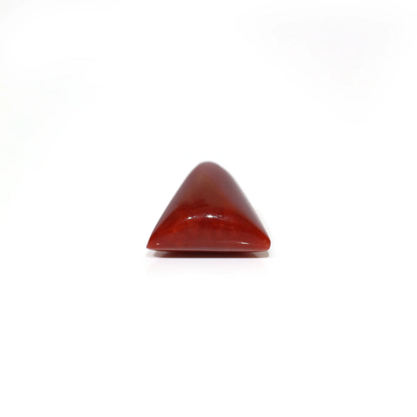 Red Coral - 5.7 Carat